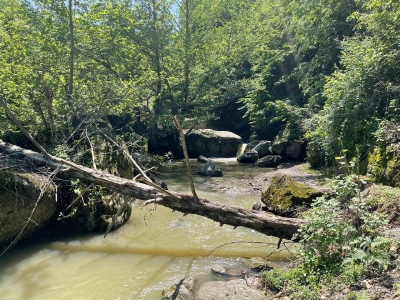 آبشار دیدنی روستای ساسنگ